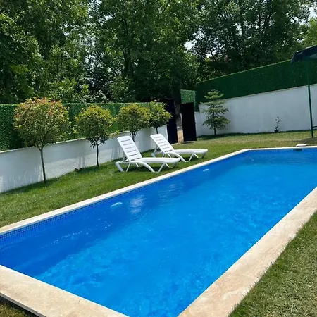Polente Sapanca